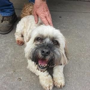 Meet your Posher, Sandy